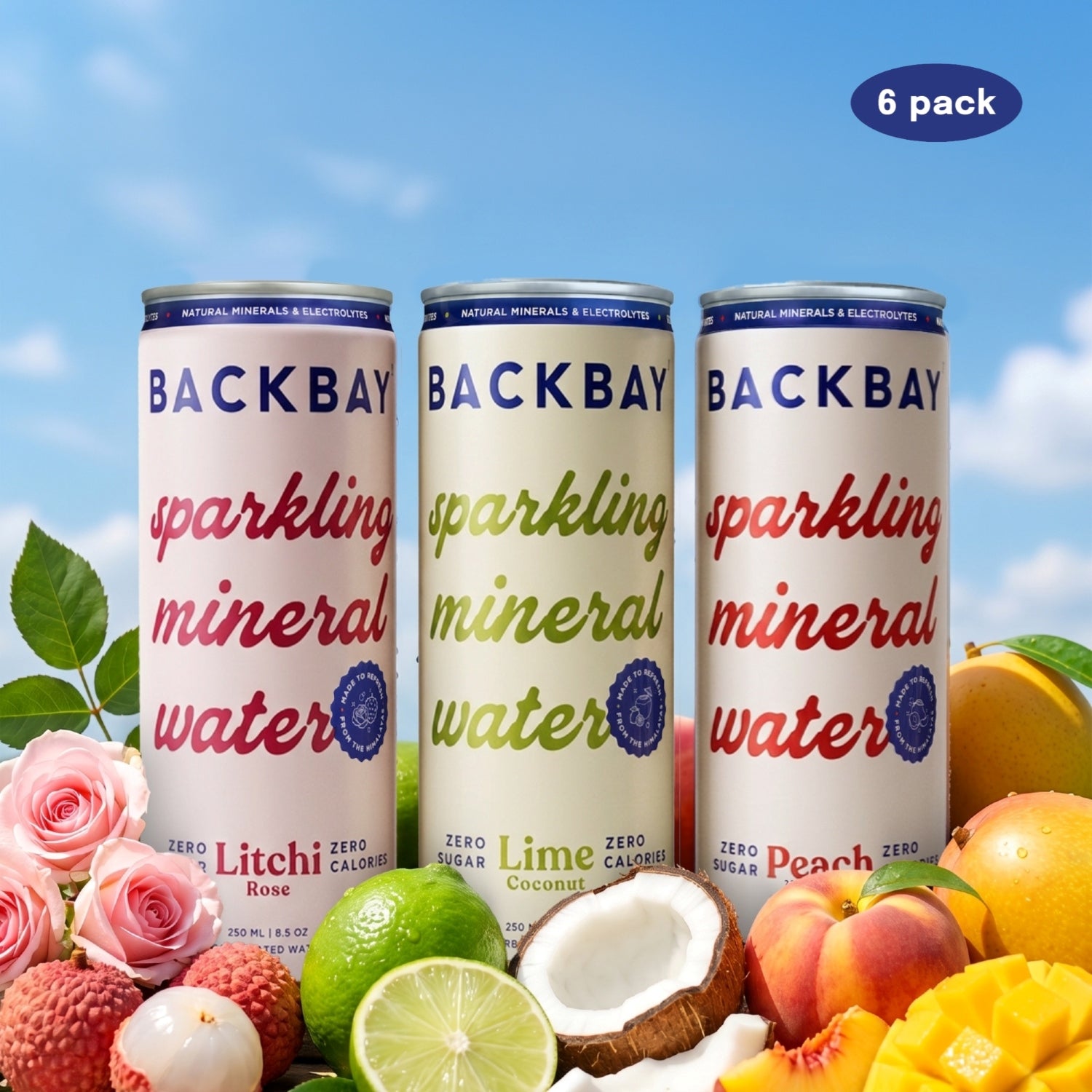 Sparkling Mineral Water Assorted Box - 250ml (Pack of 6)
